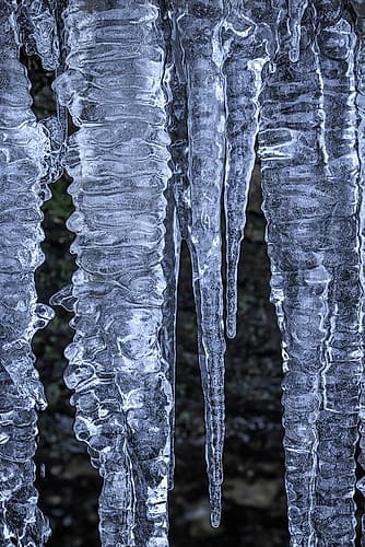 USA- Washington State- Seabeck. Close-up of icicles. Art Print